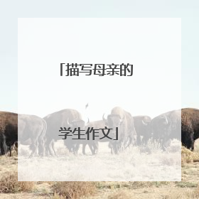 描写母亲的学生作文