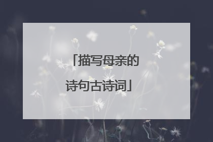 描写母亲的诗句古诗词