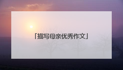 描写母亲优秀作文