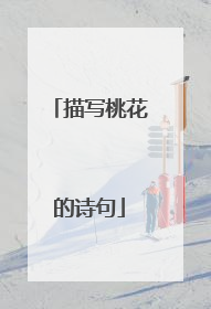 描写桃花的诗句