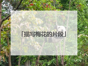 描写梅花的片段