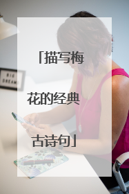 描写梅花的经典古诗句