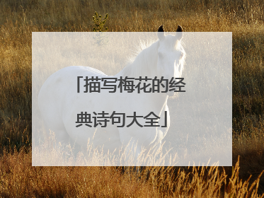 描写梅花的经典诗句大全