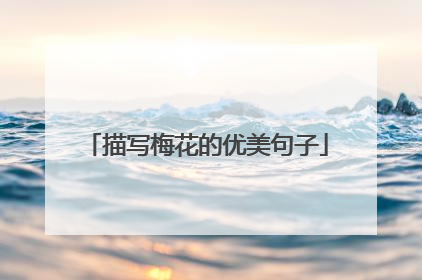 描写梅花的优美句子