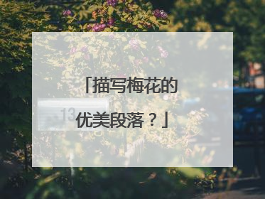 描写梅花的优美段落？