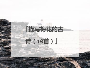 描写梅花的古诗(10首)