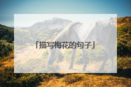 描写梅花的句子