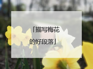 描写梅花的好段落