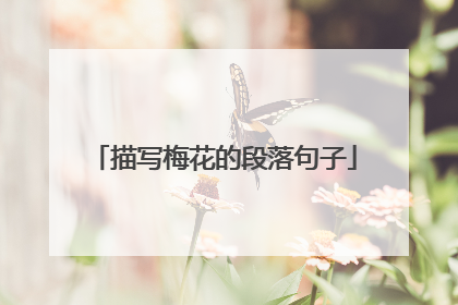 描写梅花的段落句子