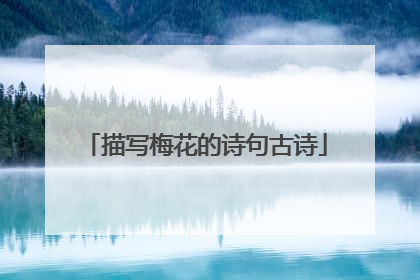 描写梅花的诗句古诗