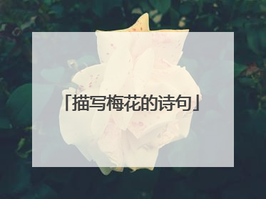 描写梅花的诗句