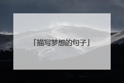 描写梦想的句子