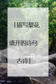 描写梨花盛开的诗句古诗