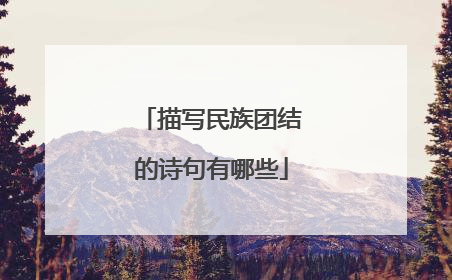 描写民族团结的诗句有哪些