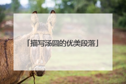 描写汤圆的优美段落