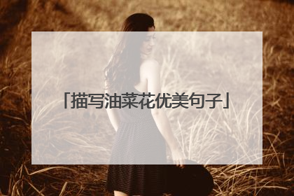 描写油菜花优美句子