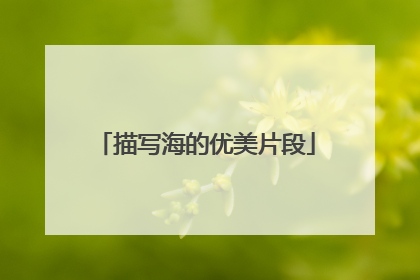 描写海的优美片段