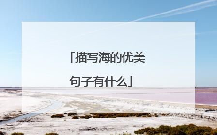 描写海的优美句子有什么