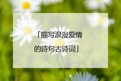 描写浪漫爱情的诗句古诗词