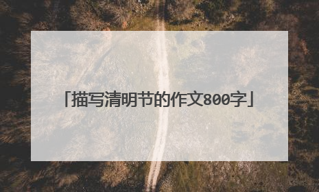 描写清明节的作文800字