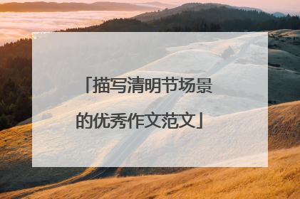 描写清明节场景的优秀作文范文