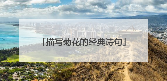 描写菊花的经典诗句