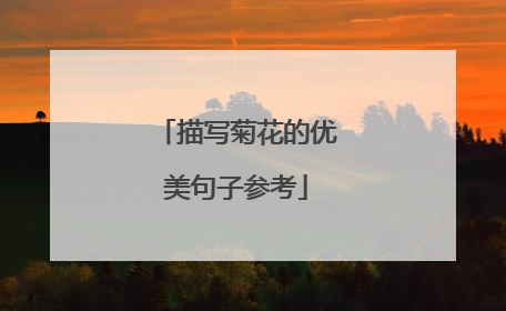 描写菊花的优美句子参考