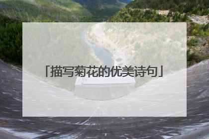 描写菊花的优美诗句