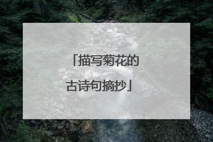 描写菊花的古诗句摘抄