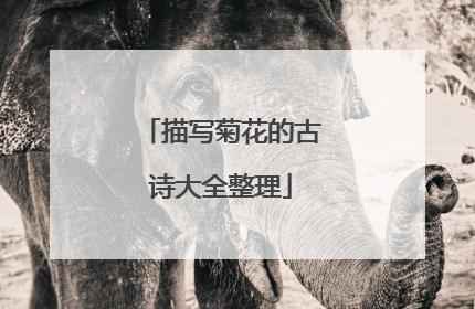 描写菊花的古诗大全整理