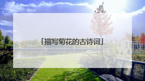 描写菊花的古诗词