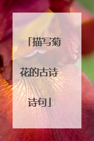 描写菊花的古诗诗句
