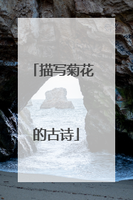 描写菊花的古诗