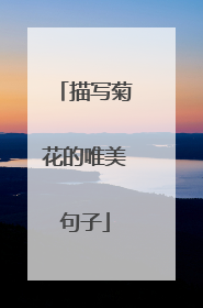 描写菊花的唯美句子