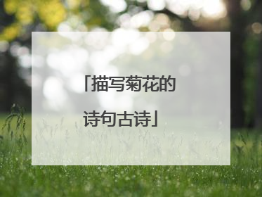 描写菊花的诗句古诗