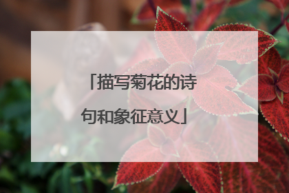 描写菊花的诗句和象征意义