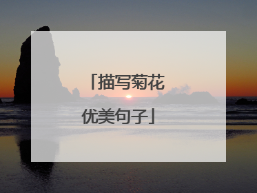 描写菊花优美句子