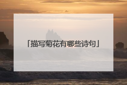 描写菊花有哪些诗句