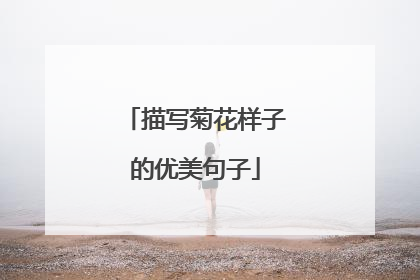 描写菊花样子的优美句子