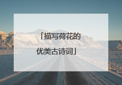 描写荷花的优美古诗词