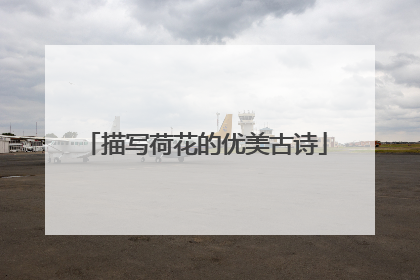 描写荷花的优美古诗