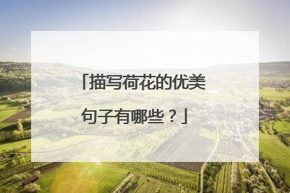 描写荷花的优美句子有哪些？