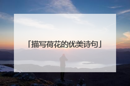 描写荷花的优美诗句