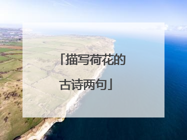 描写荷花的古诗两句