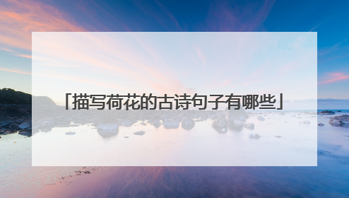 描写荷花的古诗句子有哪些