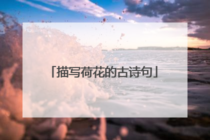 描写荷花的古诗句