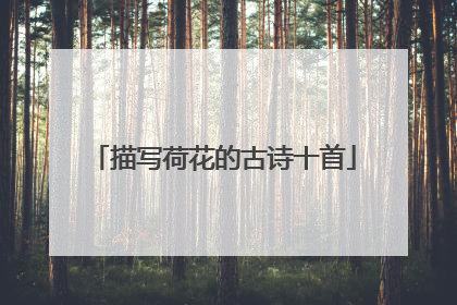 描写荷花的古诗十首