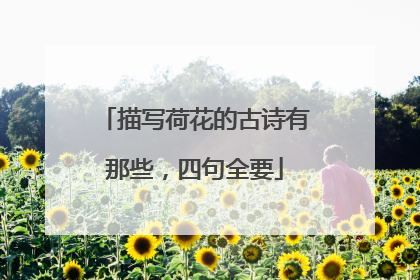 描写荷花的古诗有那些,四句全要