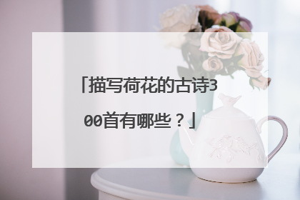 描写荷花的古诗300首有哪些?