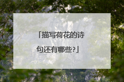 描写荷花的诗句还有哪些?